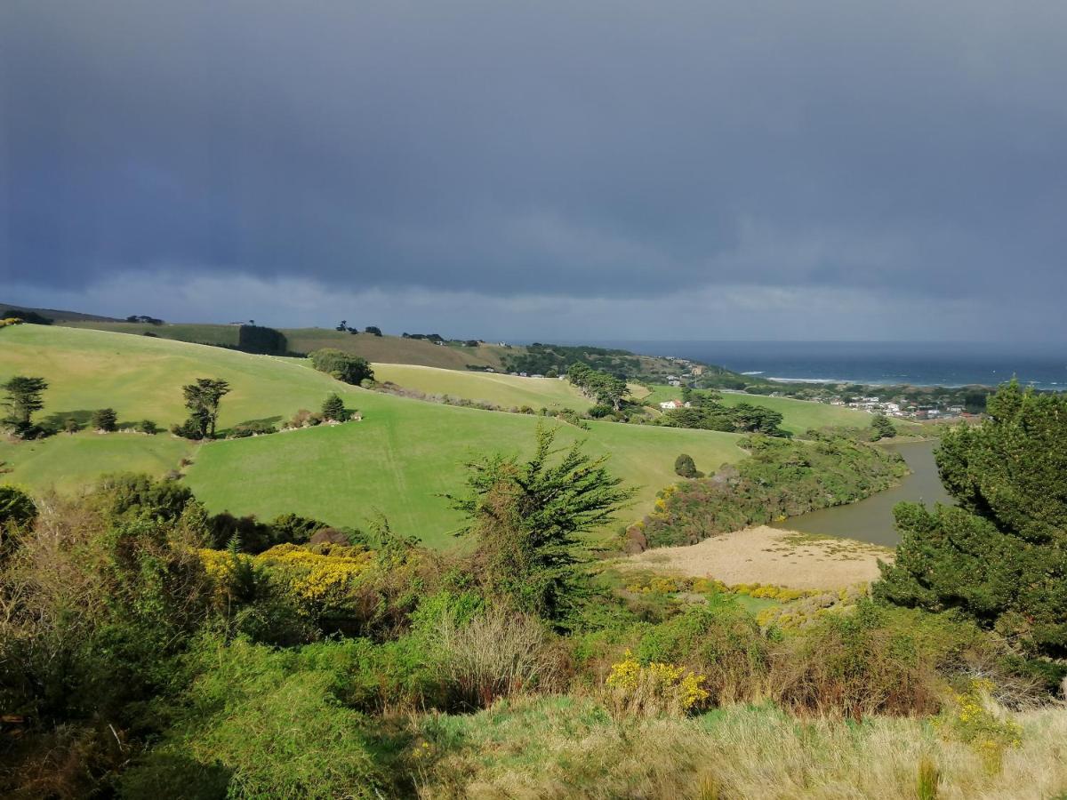 Gateway To Peninsula With Sea Views Apartamento Dunedin Exterior foto